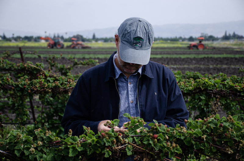 AB 125 Receiving Support from Multiple Farm Groups